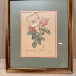 Vintage FRAMED Double Mat PIERRE JOSEPH REDOUTE BOTANICAL Rosa Centifolia